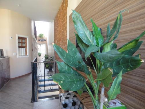 Albergue Pousada Pedacinho Da Bahia