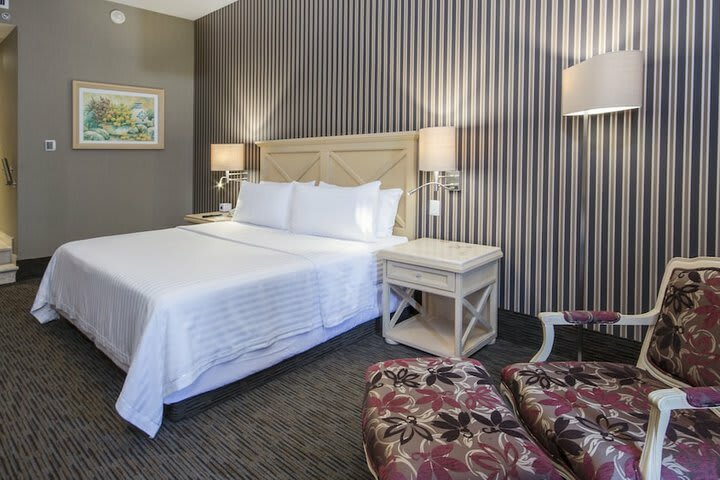 Hotel Holiday Inn Express & Suites Queretaro