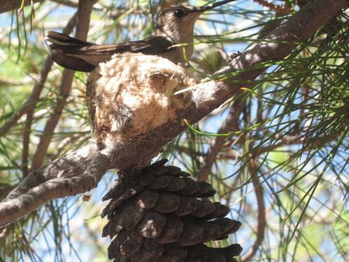 Mon Ami Bed And Breakfast