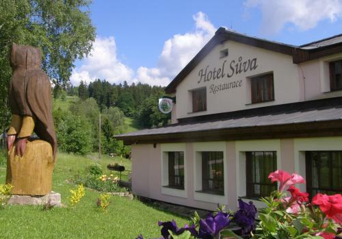 Hotel Penzion S?va