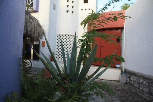 Amaranto Bed And Breakfast