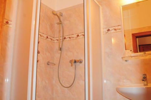 Hotel Pegas Brno