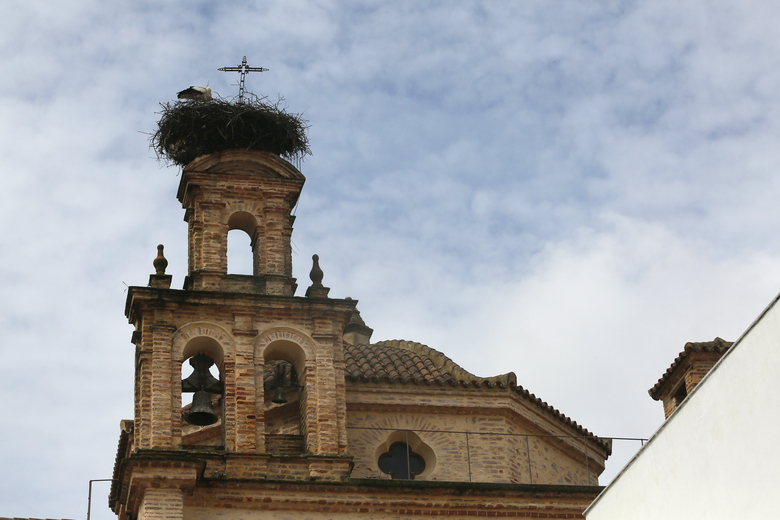 Hotel Convento Aracena