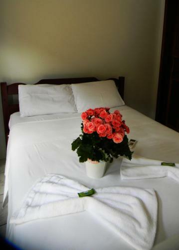 Hostal Pousada Igarap�