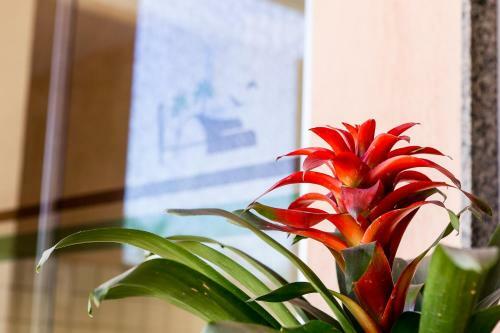 Hostal Pousada Sossego Da Pampulha