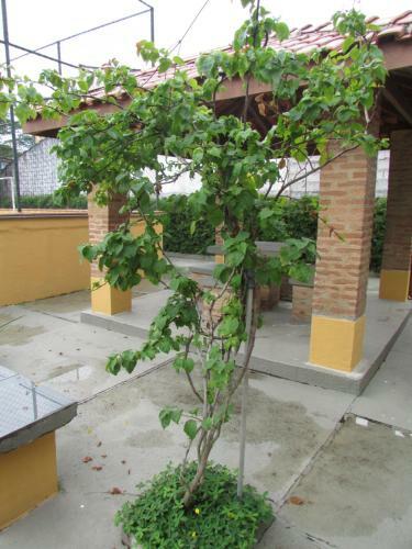 Apartamento Recanto Do Leo