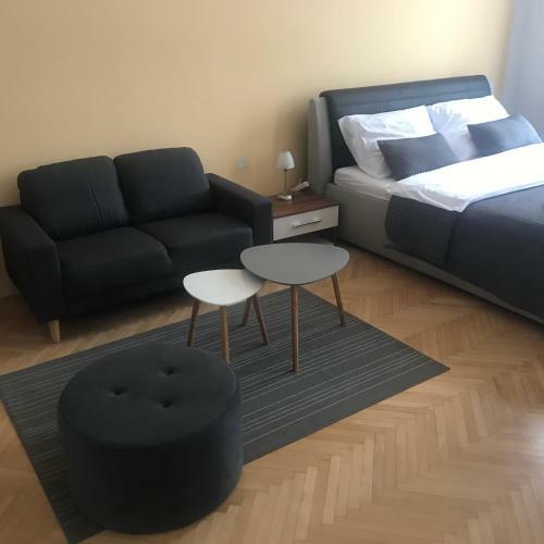 Apartment Brno