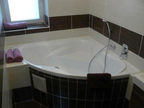 Apartment Brno