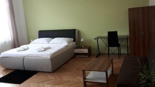 Apartment Brno