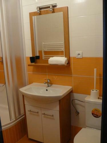 Apartment Brno