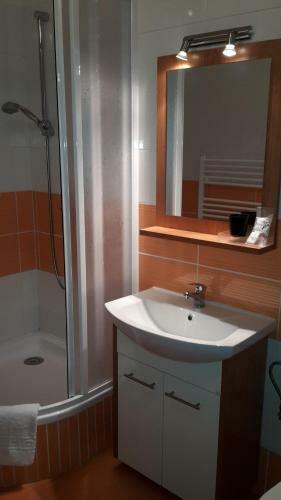 Apartment Brno