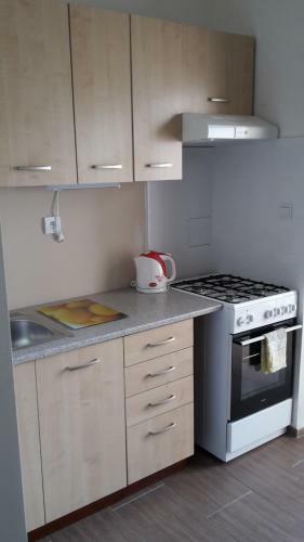Apartment Brno