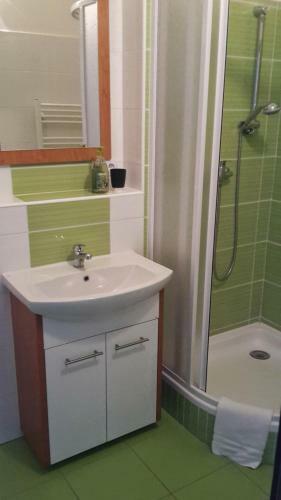 Apartment Brno