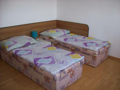 Hostel U Minorit?