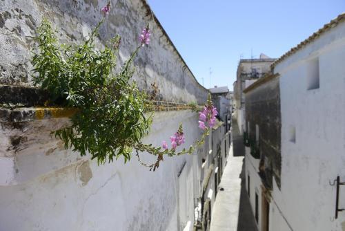 Hostal Casa Rural Las Cadenas