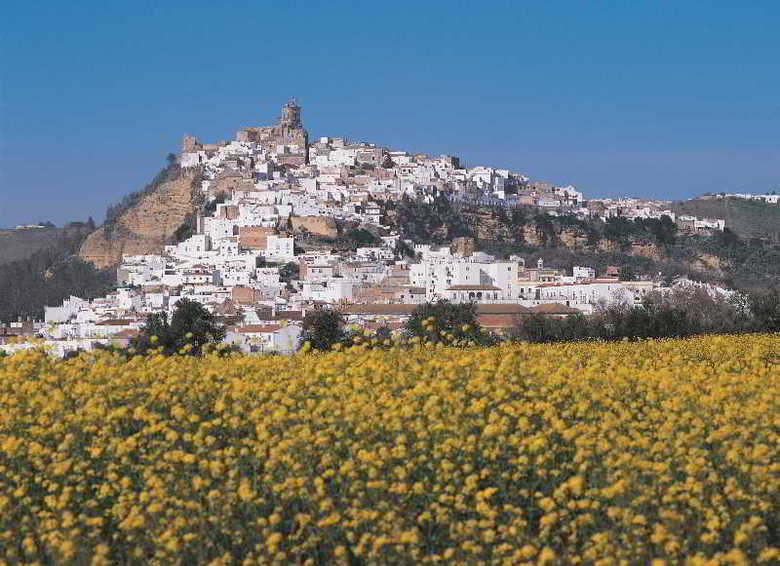 Arcos Gardens Country Estate
