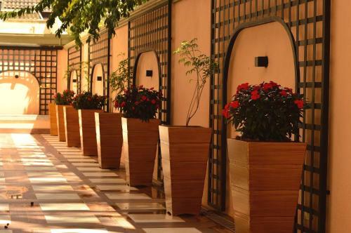 Hostal Pousada Italia Eleganza