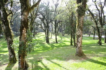 Hotel Continental Canela
