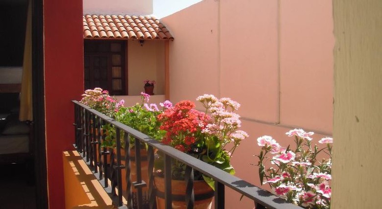 Albergue Olga Querida B&B Hostal