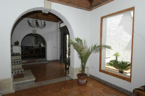 Hotelito "casa Dionisio"