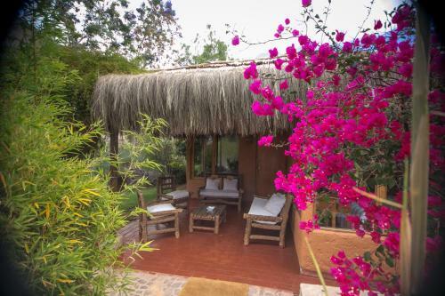 Bed & Breakfast Refugio Misterios De Elqui