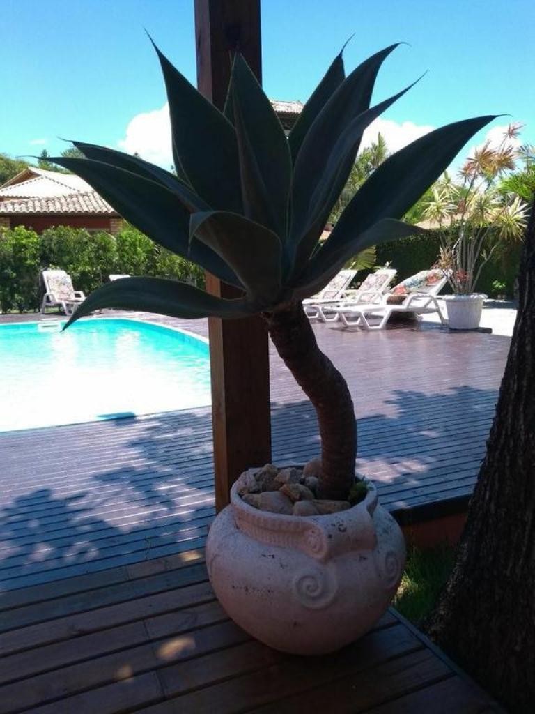 Hostal Pousada Bananeiras
