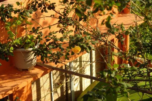 Hostal Recanto Dos Bambus Pousada