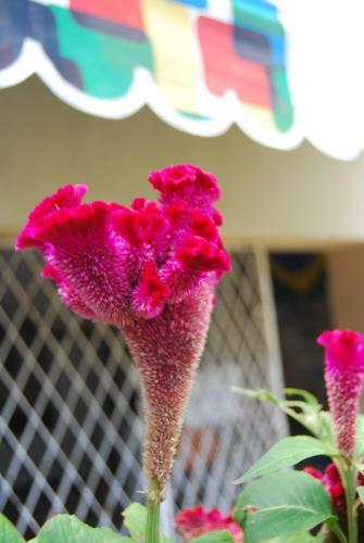 Refugio Hostel Fortaleza