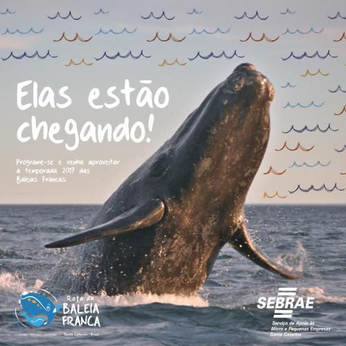 Posada Pousada Do V�io