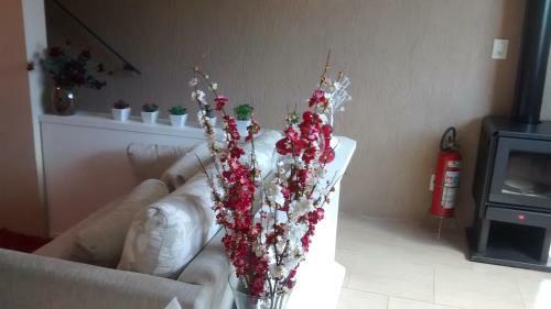 Hostal Estrelatto Residence