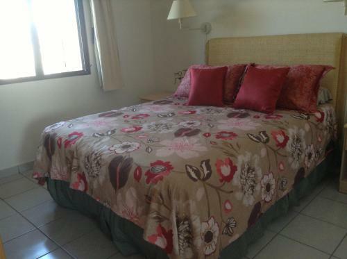 Bed & Breakfast Posada Colibri