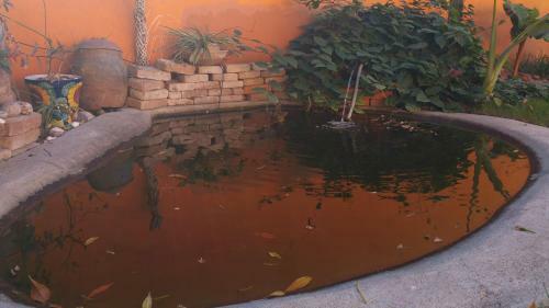 Bed & Breakfast Posada Colibri