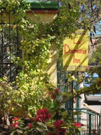 Hotel La Damiana Inn
