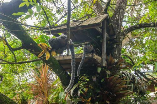 Posada Pousada Atl�ntica