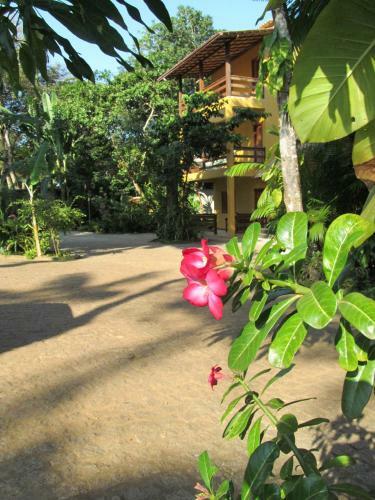 Bed & Breakfast Pousada Da Paz