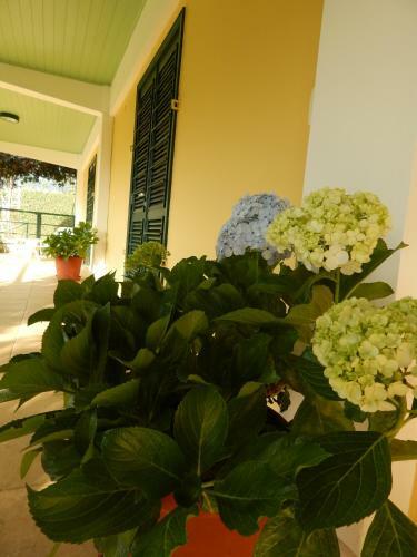 Hostal Pousada Quinta Do Alto