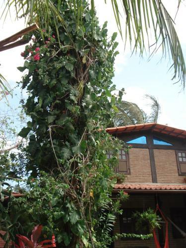 Hostal Pousada Ibirapuera