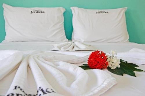 Hostal Pousada Jeribeka