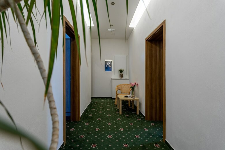 Hostal Penzion U Vlka