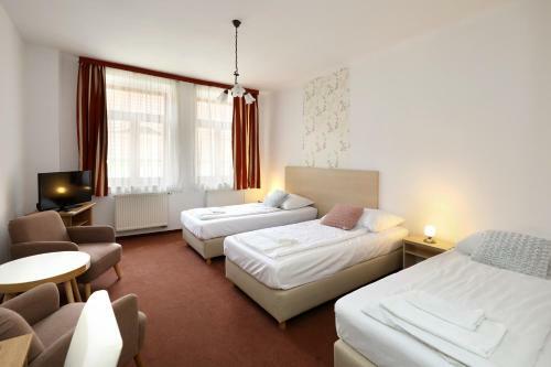 Hostal Pension U T?� Sedl�k?