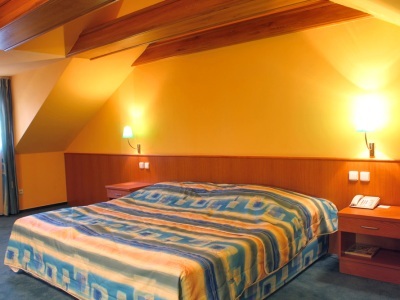 Hotel Dvorak