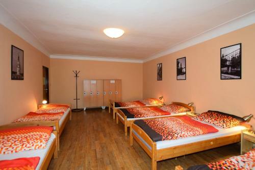 Travel Hostel
