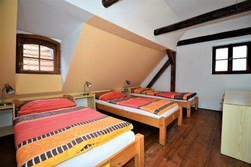 Travel Hostel