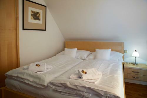 Hostal Penzion Na Ostrov?
