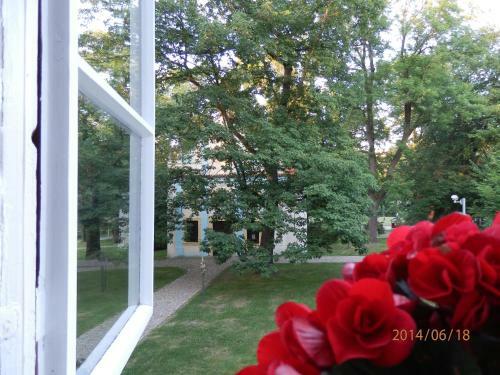 Hostal Pension U Kapli?ky