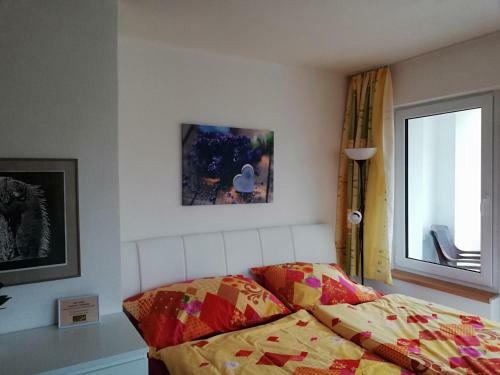 Hostal Penzion Kuku