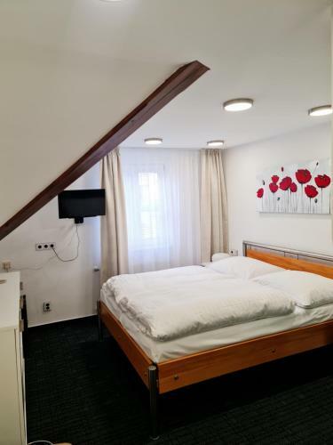 Hostal Pension Vltav�n