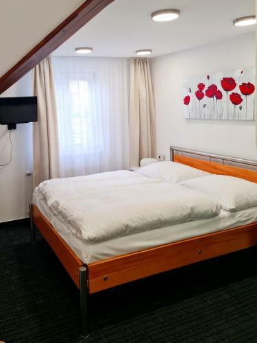 Hostal Pension Vltav�n
