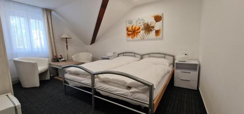 Hostal Pension Vltav�n