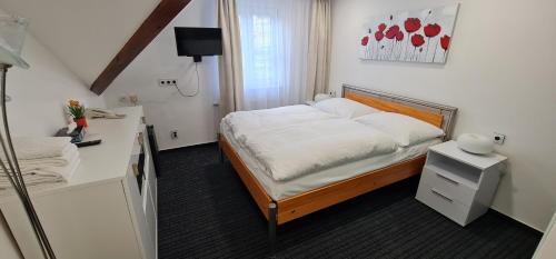 Hostal Pension Vltav�n